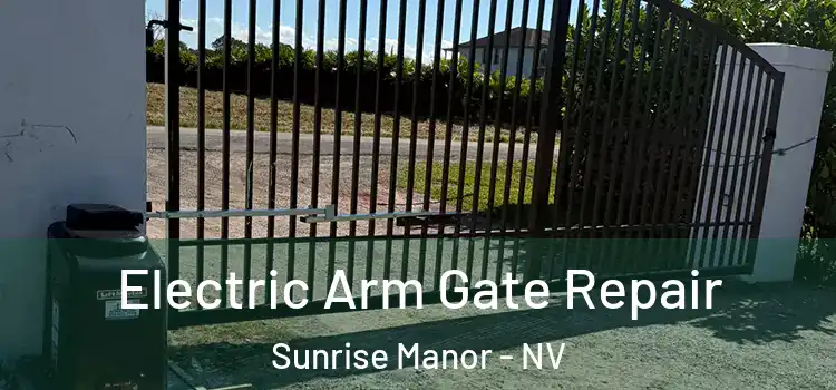 Electric Arm Gate Repair Sunrise Manor - NV