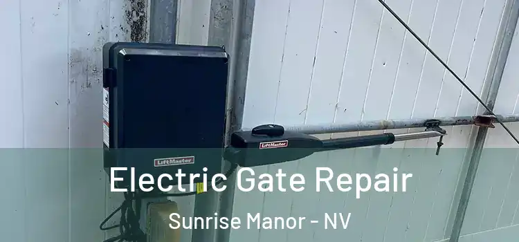 Electric Gate Repair Sunrise Manor - NV
